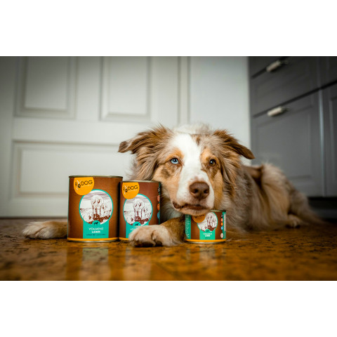Hund Nassfutter RyDog Vitalmenü Lamm 800g 6 Stück -6- Anifit